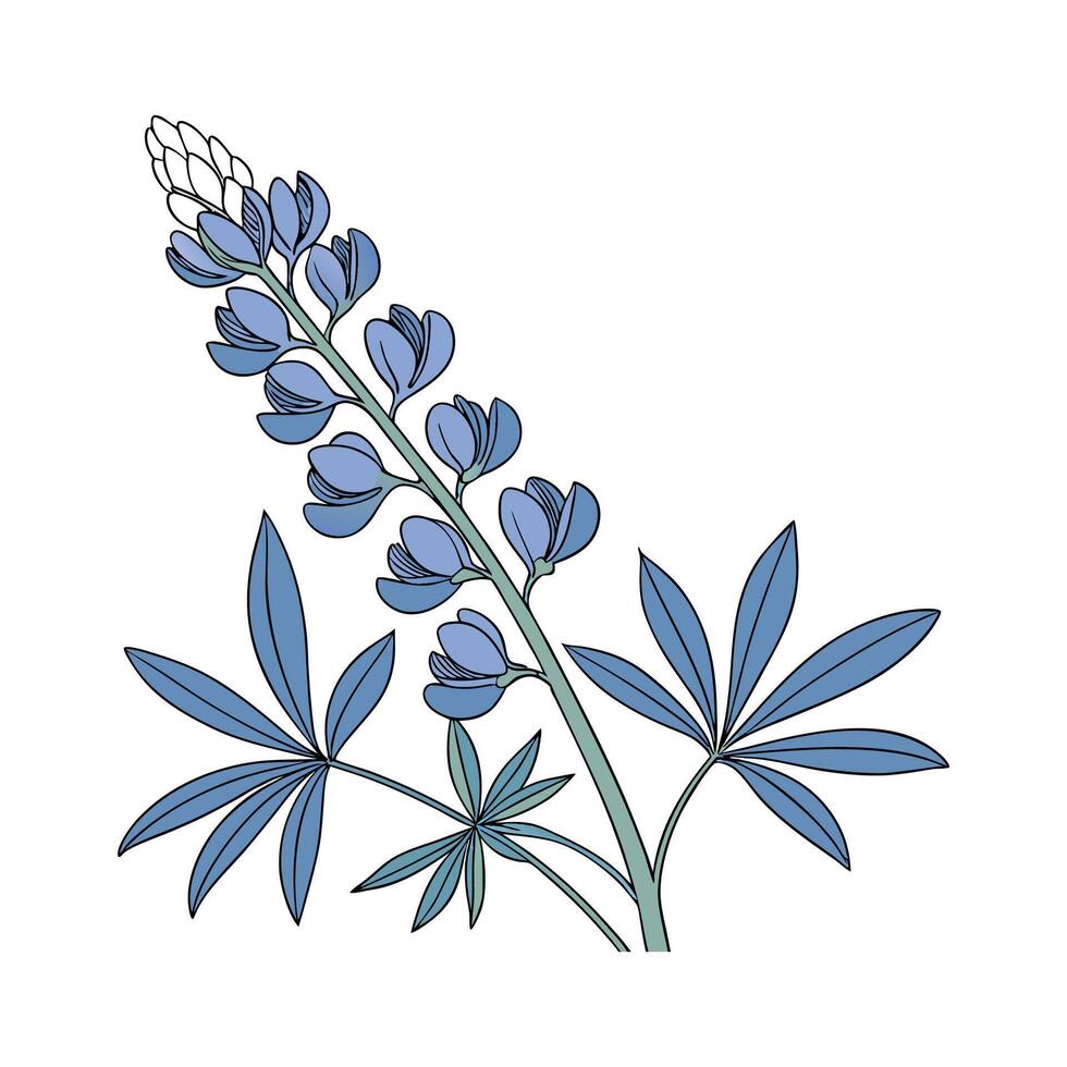 Unique Wild Indigo for Artistic Displays vector