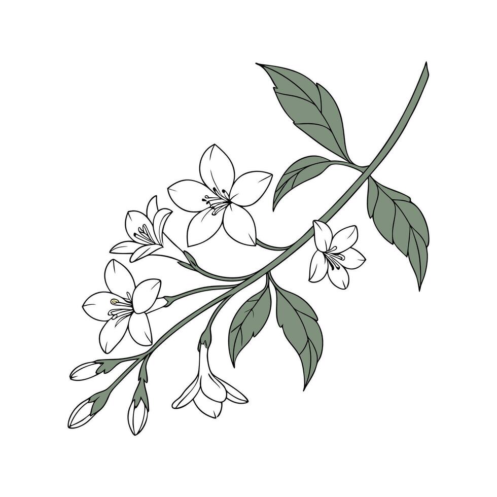 Elegant Winter Jasmine for Seasonal Decor vector