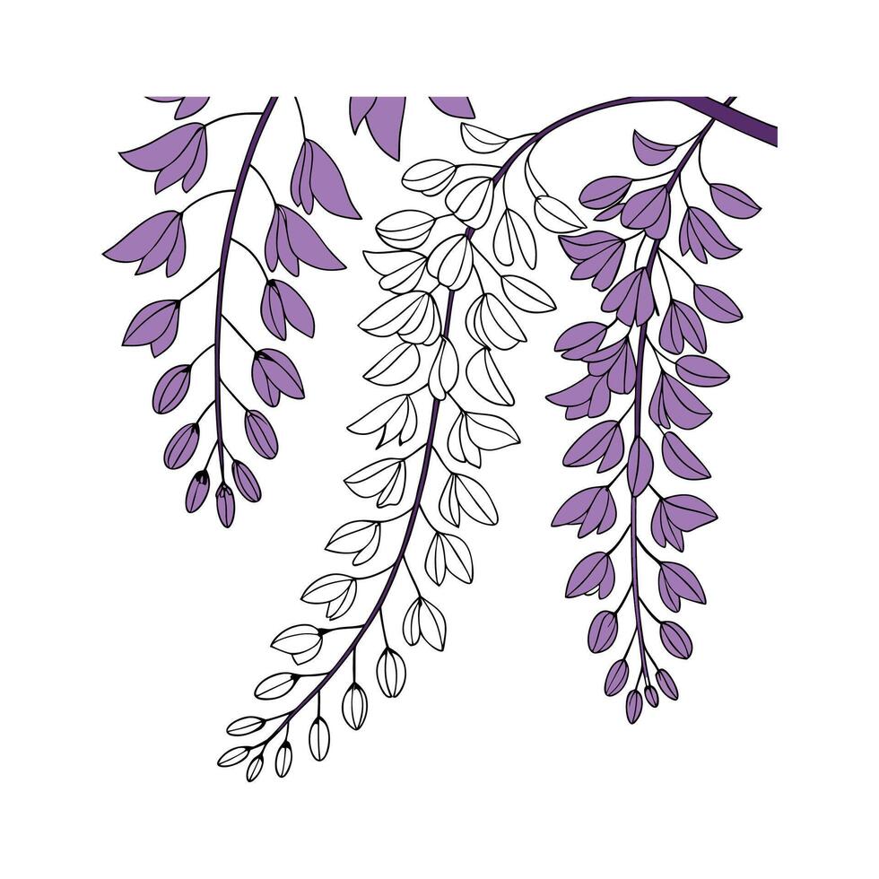 Elegant Wisteria for Artful Displays vector