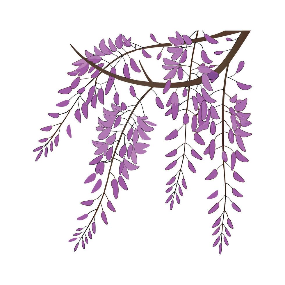 Beautiful Wisteria Sinensis for Unique Decor vector