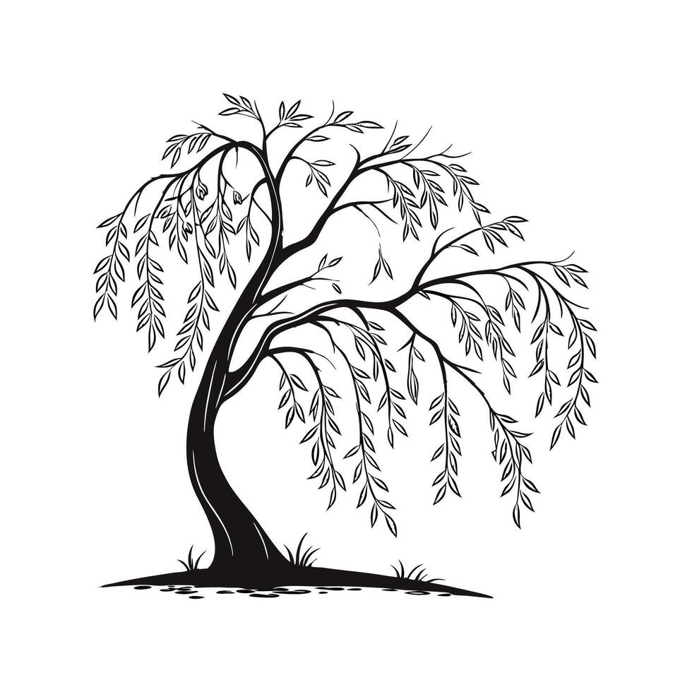 Bold Outline Willow Tree vector