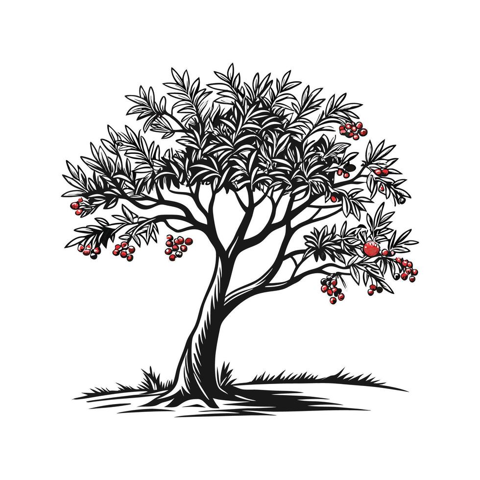 Yew Tree Bold Outline Design vector