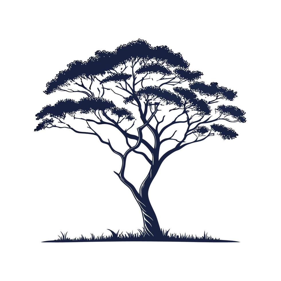 Stylish Acacia Tree Outline Design vector