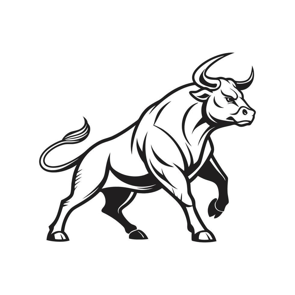 Stylish Angus Bull Outline Design vector