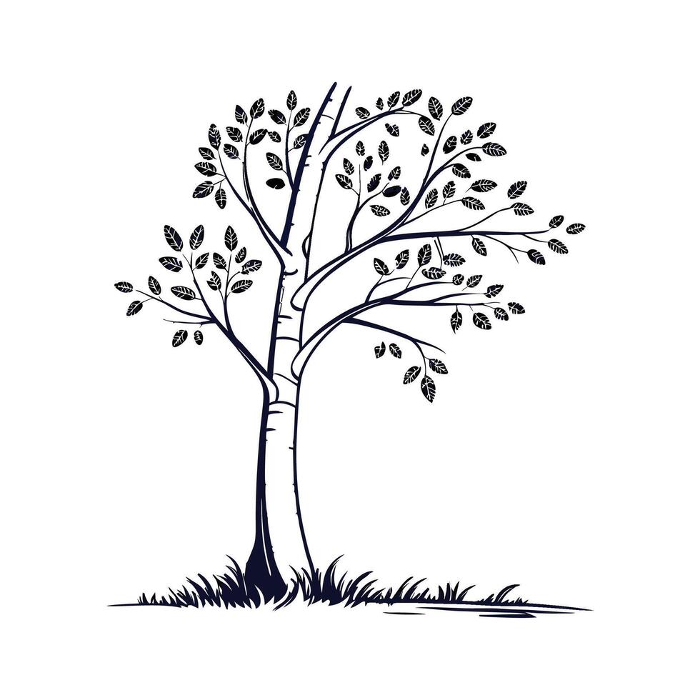 Creative Aspen Tree Outline Artwork vector