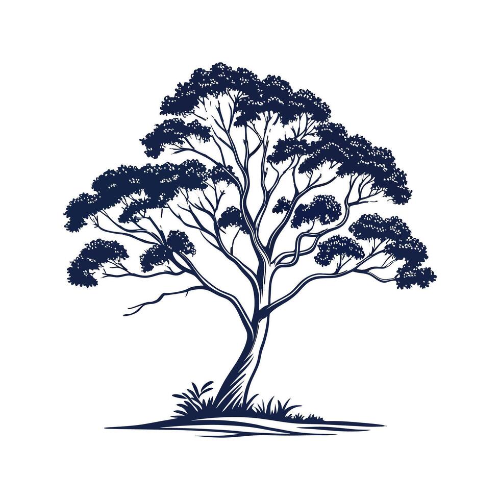 Creative Australian Eucalyptus Tree Art vector