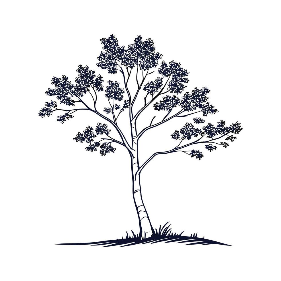 Stylish Aspen Tree Bold Outline. vector