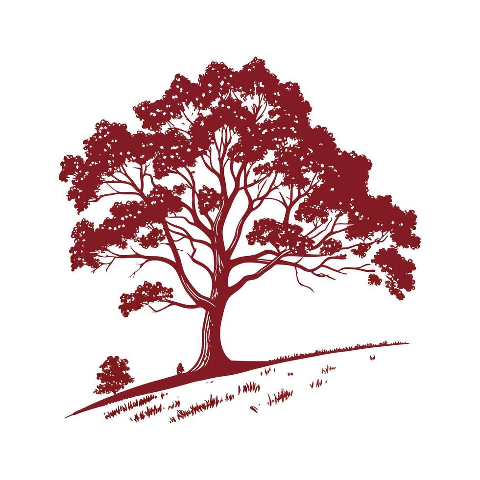 Creative Big Leaf Maple Outline Art vector