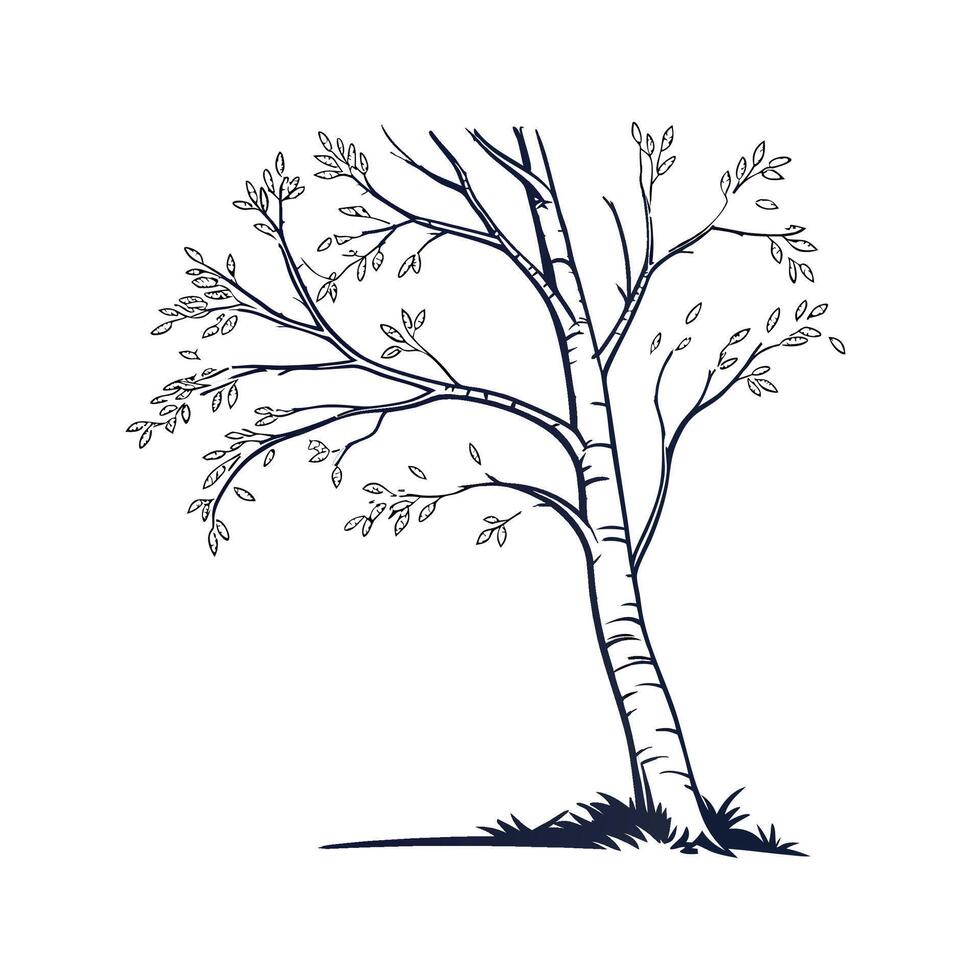 Artful Birch Tree Outline Design vector