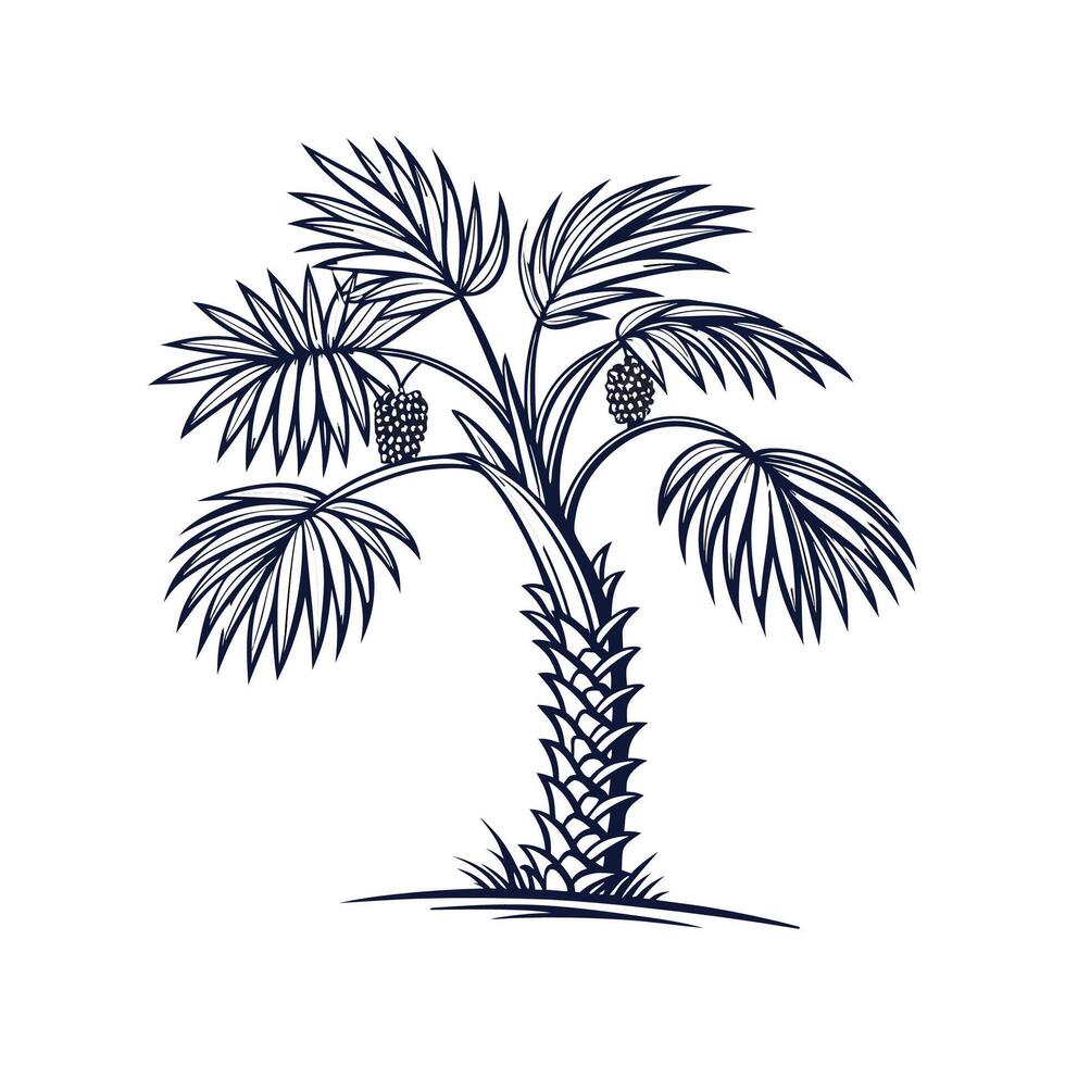 Creative Bismarck Palm Tree Outline Design vector