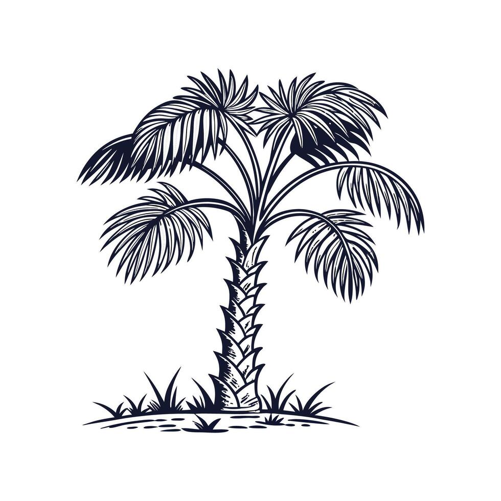 Elegant Bismarck Palm Tree Outline Art vector