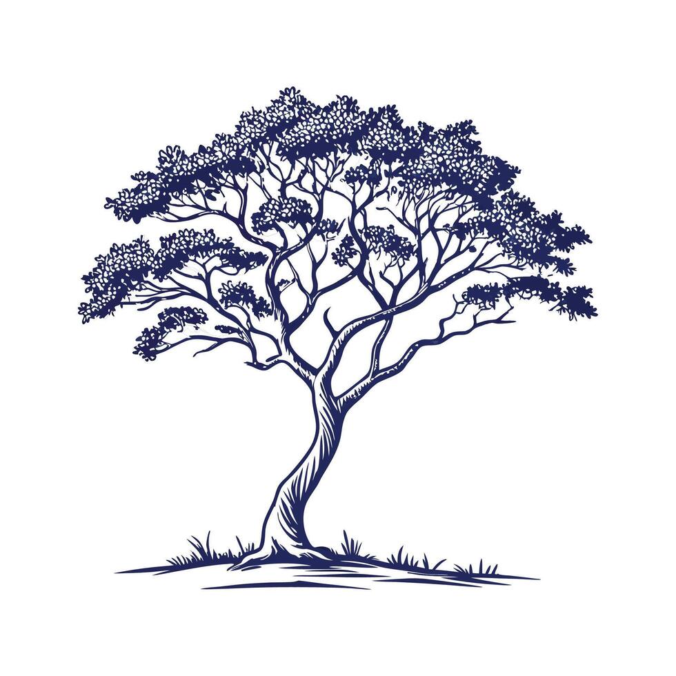 Distinctive Blue Mahoe Tree Outline Art vector