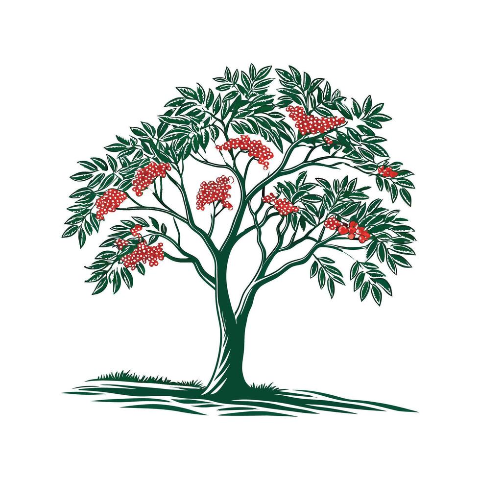 Artful Brazilian Pepper Tree Outline Design vector