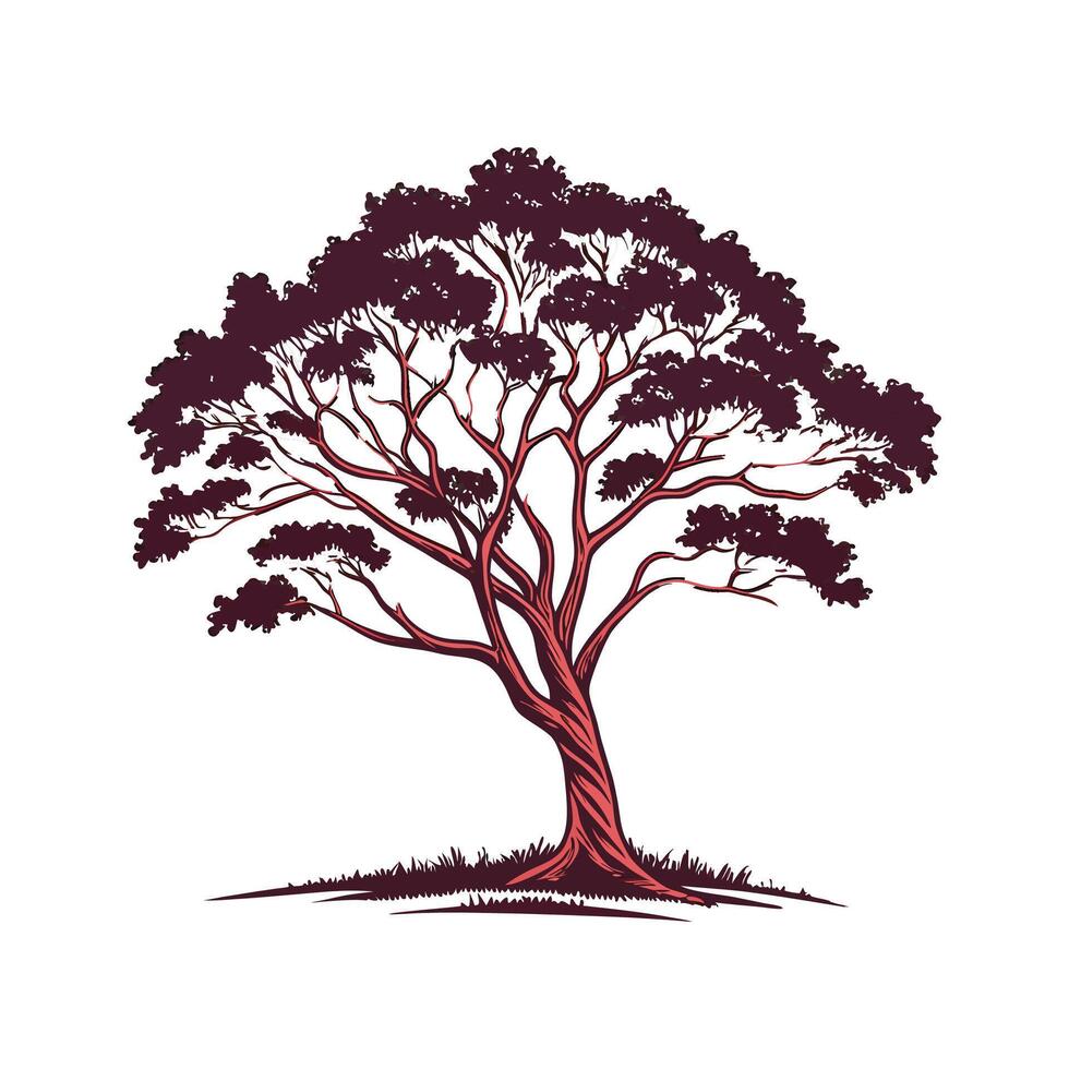 Charming Brazilian Rosewood Tree Outline Graphic vector
