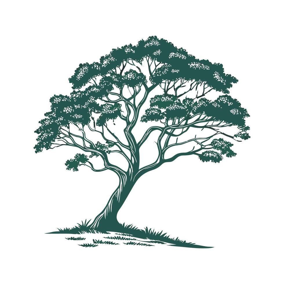 Distinctive Brazilian Rosewood Tree Outline Design vector