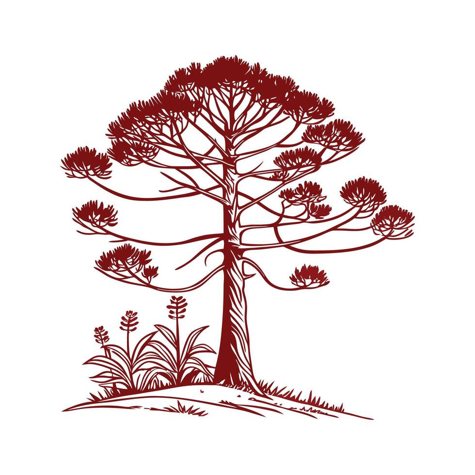 Creative Bunya Pine Tree Outline Art vector