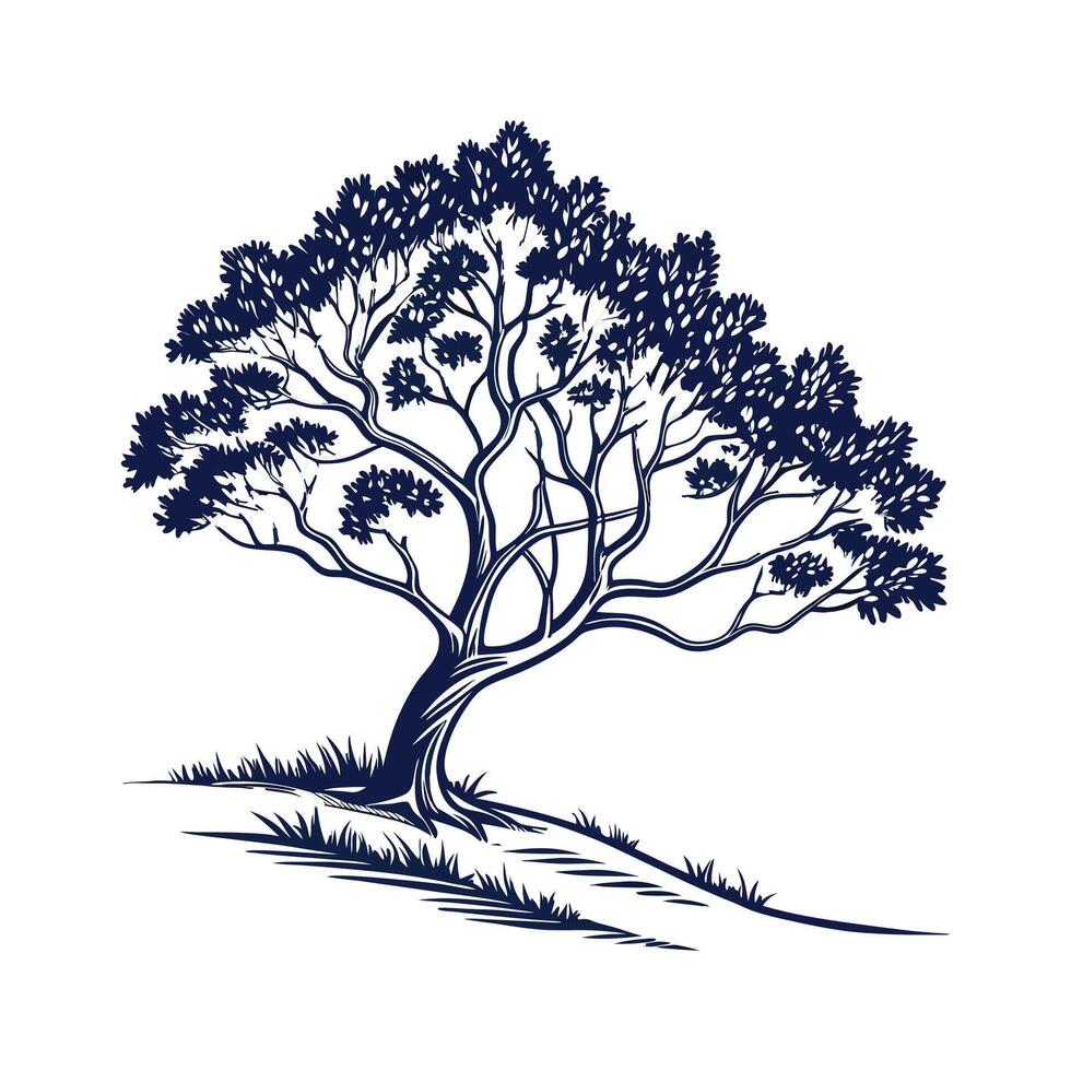 Stylish California Laurel Tree Outline Design vector