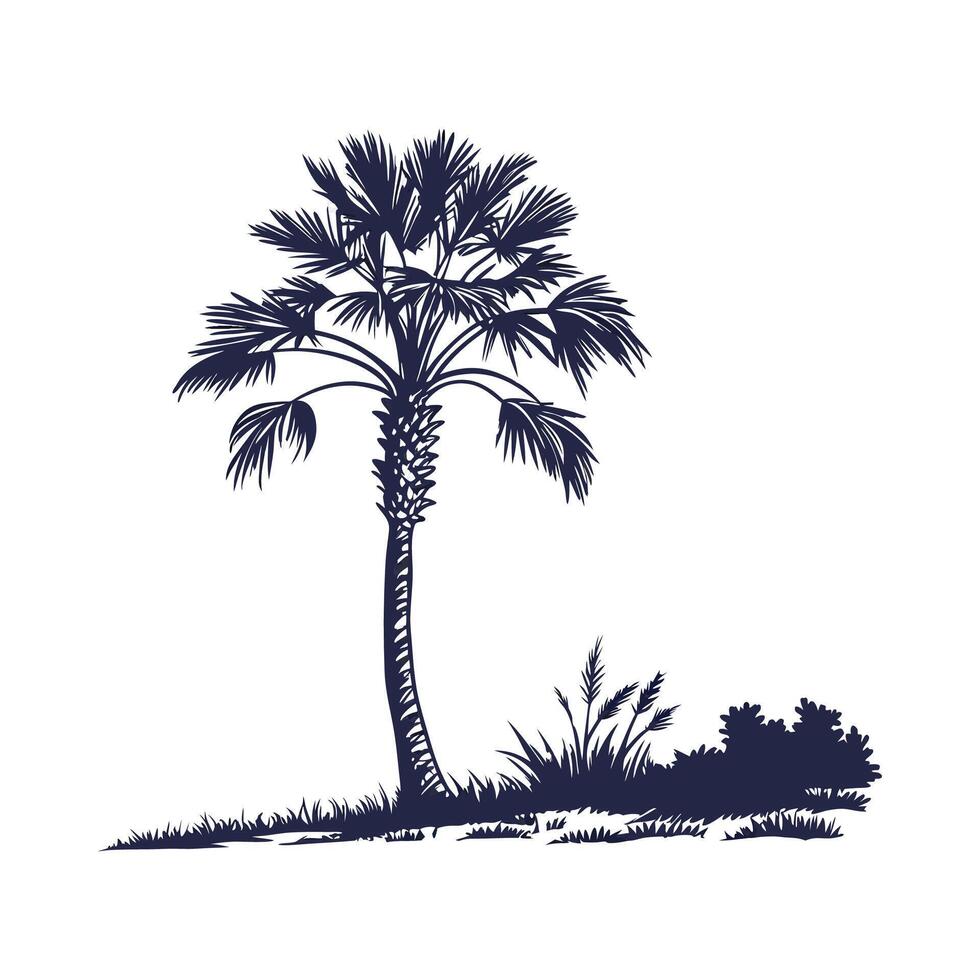 Charming California Fan Palm Outline Graphic vector