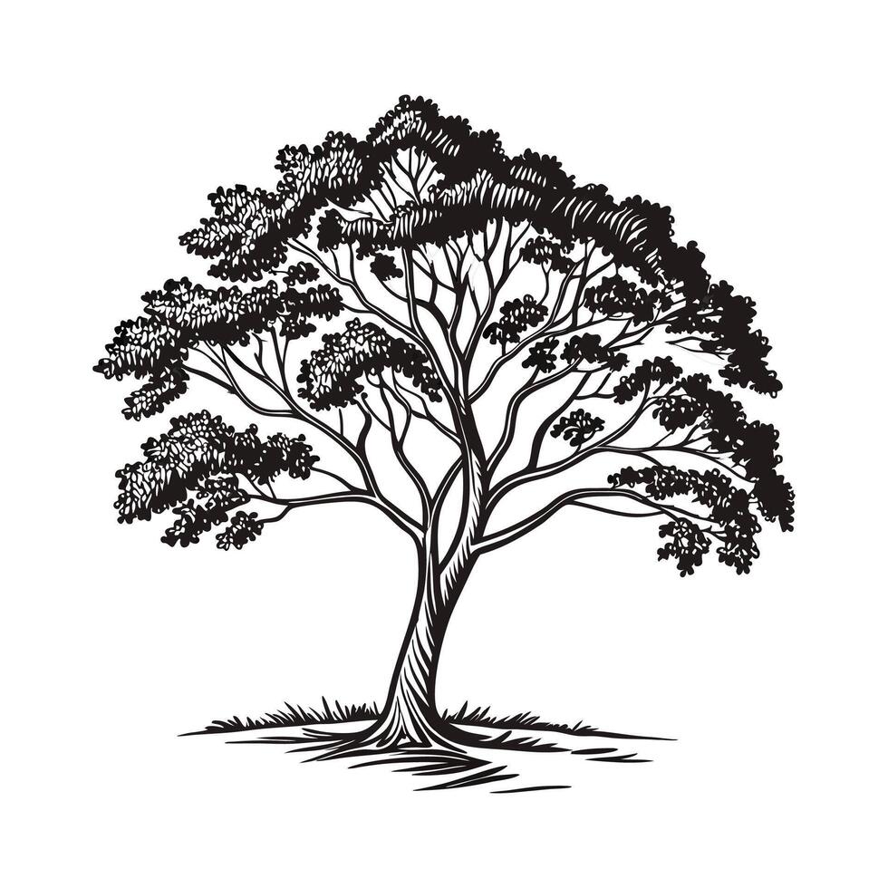 Elegant Carolina Cherry Laurel Tree Outline vector