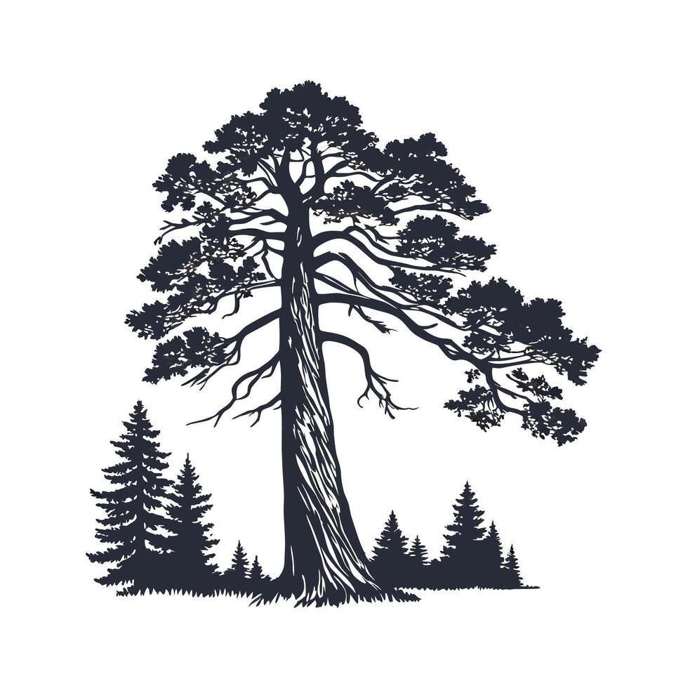 Coast Redwood Tree Bold Outline Design for Art vector
