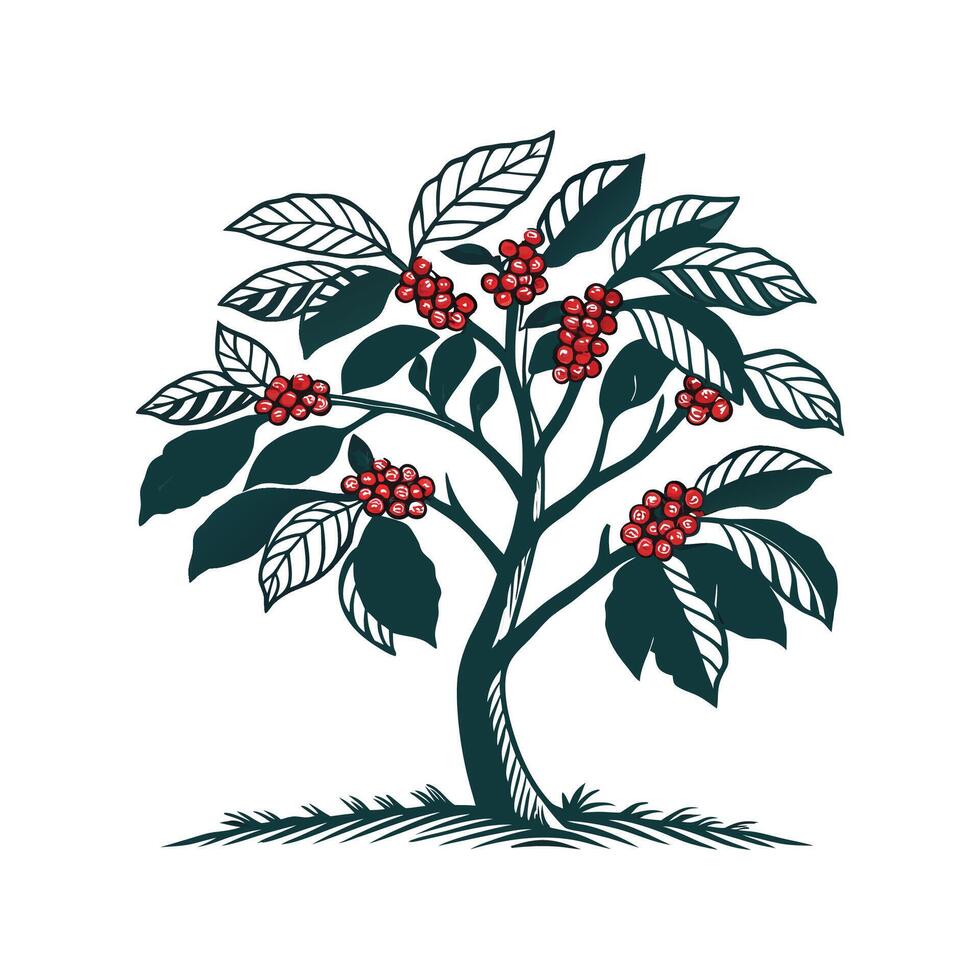 Coffee Tree Bold Outline Design for Illustrative Art vector