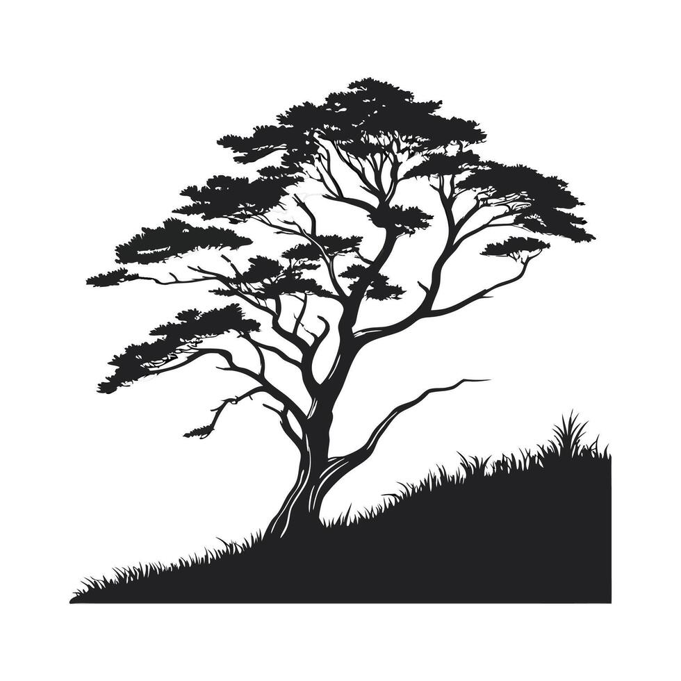 Cypress Tree Bold Outline for Unique Illustration vector