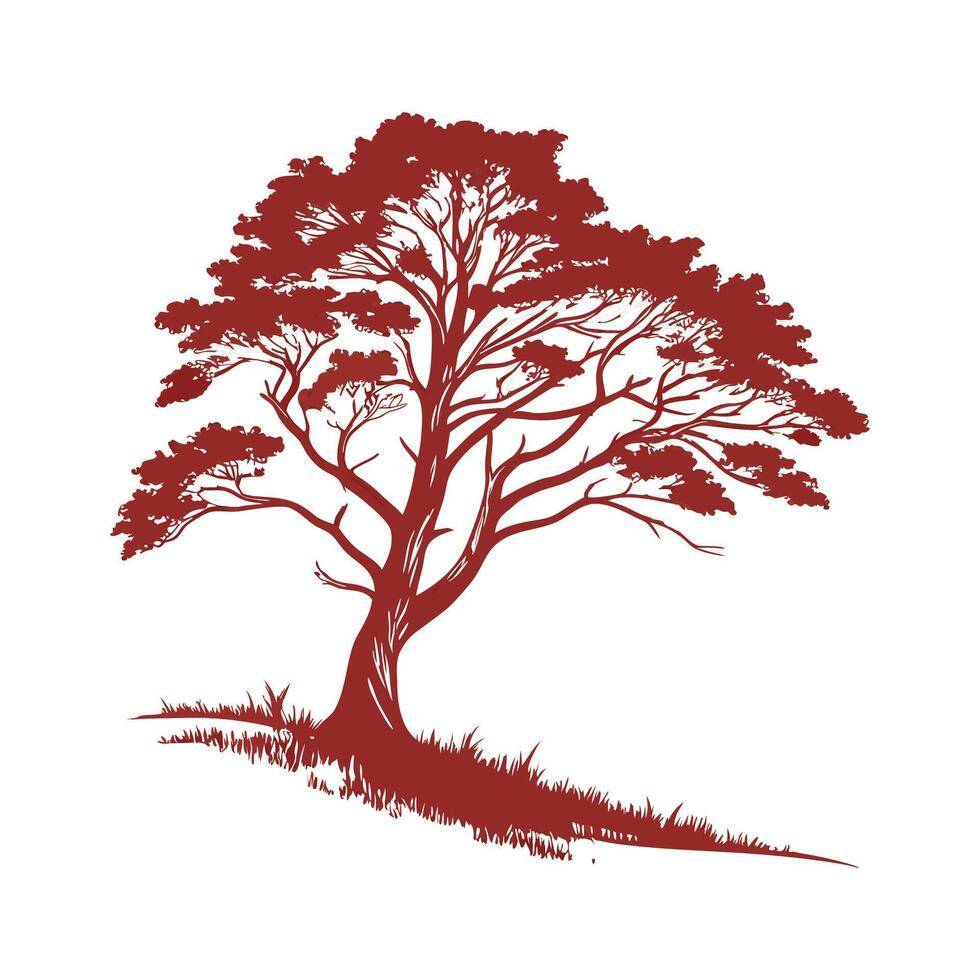 Elegant Eastern Red Cedar Tree Outline for Design vector