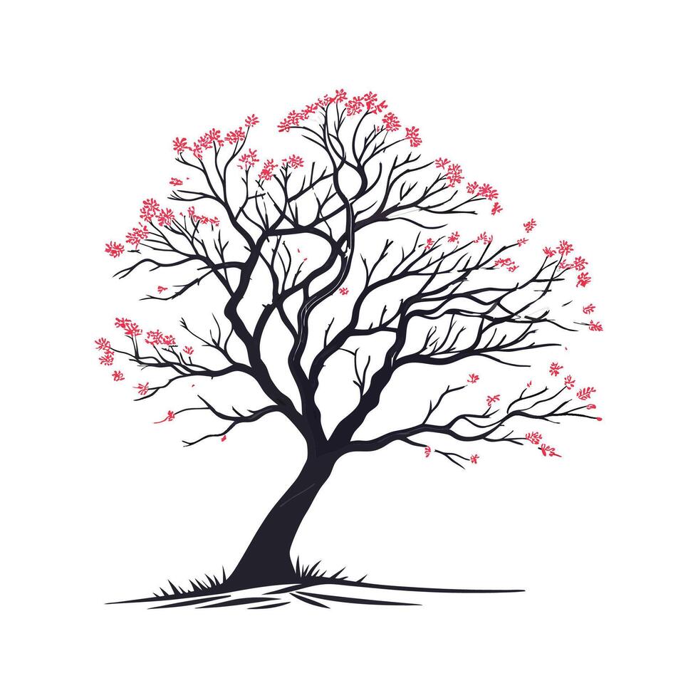 Elegant Eastern Redbud Tree Outline for Illustration vector