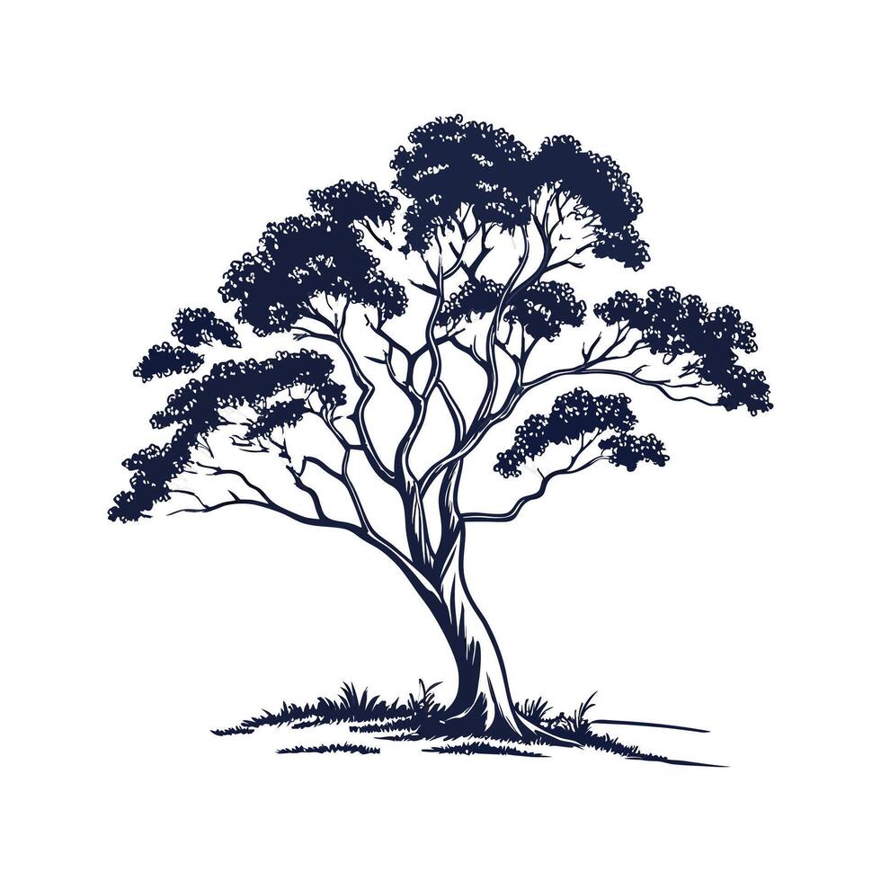 Charming Eucalyptus Tree Bold Outline Design vector
