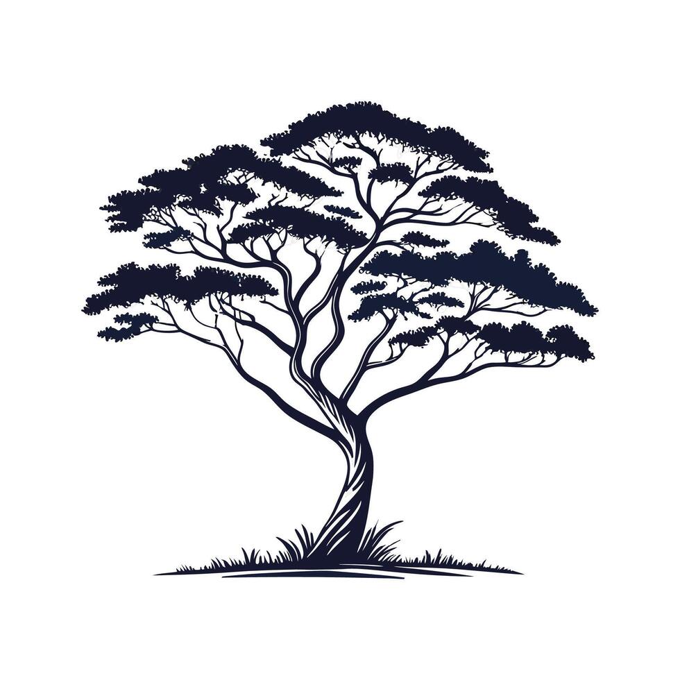 Charming False Acacia Tree Outline for Unique Decor vector