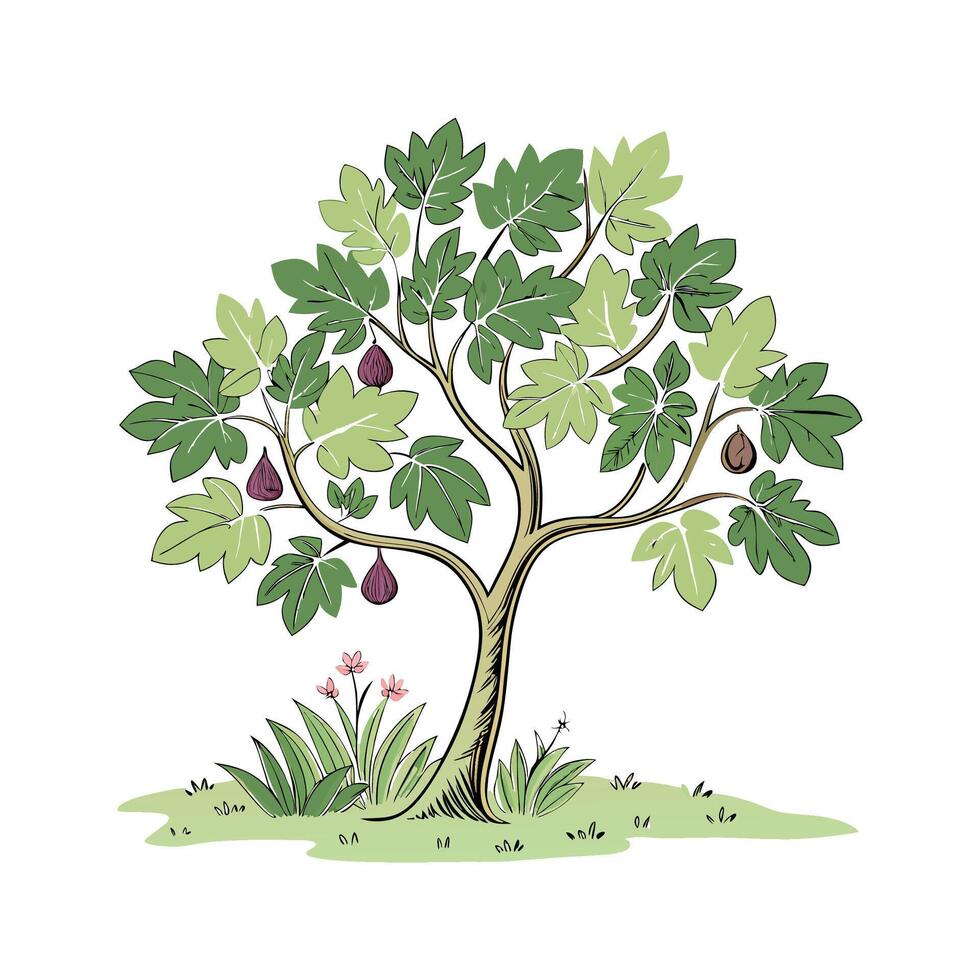 Stylish Fig Tree Bold Outline for Art vector