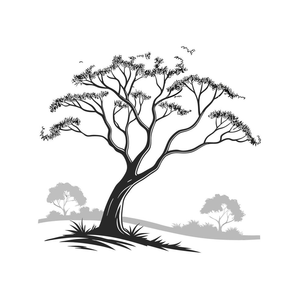 Ghost Gum Tree Bold Outline for Creative Use vector