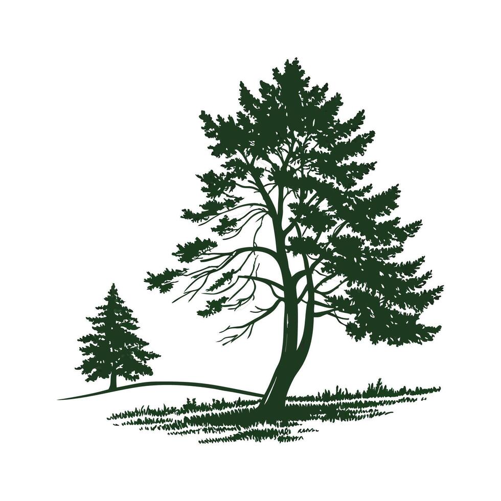 Fraser Fir Tree Bold Outline for Unique Art vector