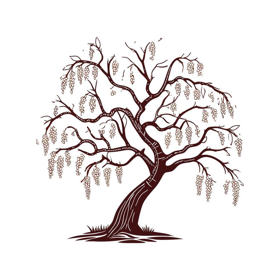 Golden Chain Tree Bold Outline for Unique Art vector