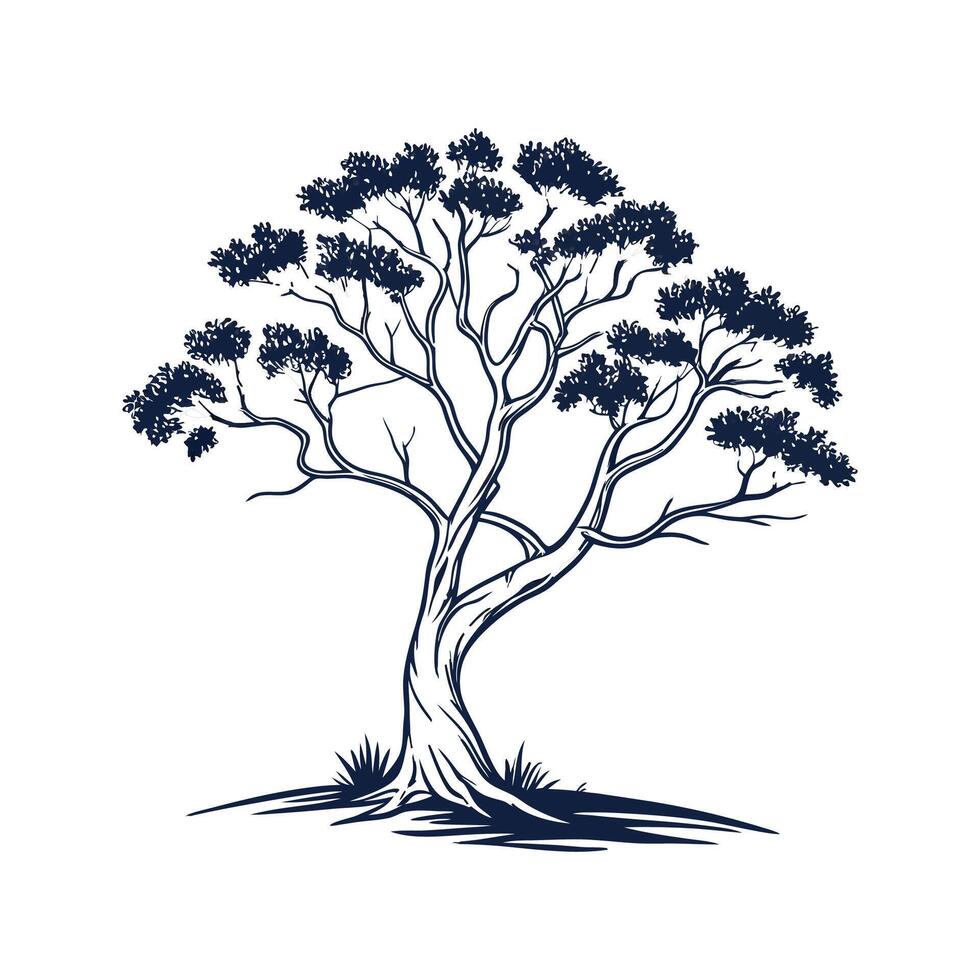 Charming Ghost Gum Tree Outline for Illustrations vector