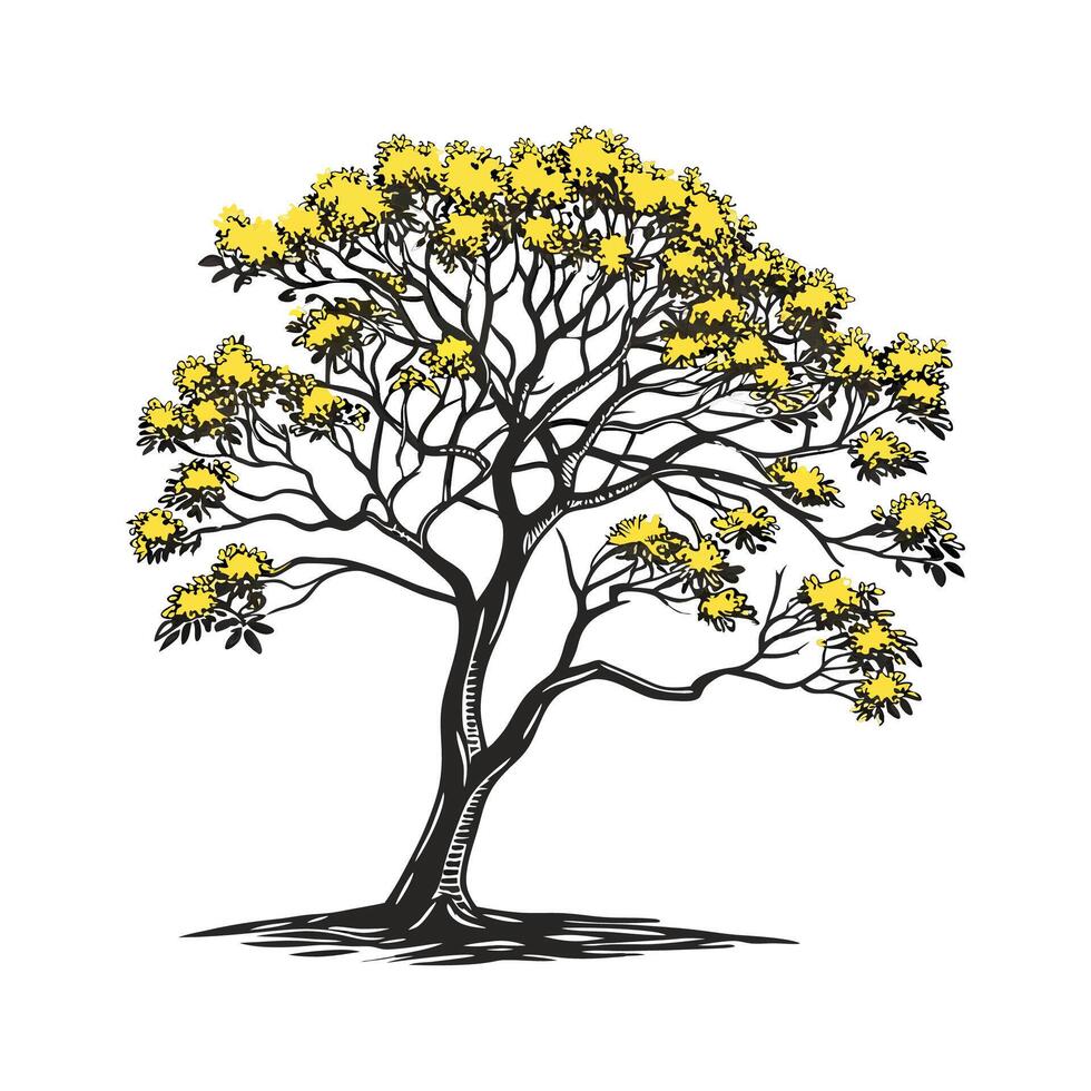 Charming Golden Trumpet Tree Outline for Design vector