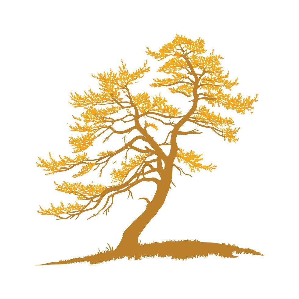 Golden Larch Tree Bold Outline Design for Art vector