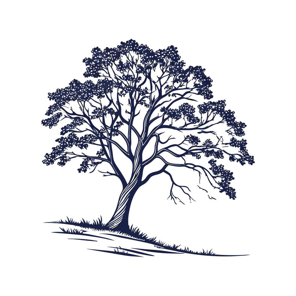 Stylish Hazel Tree Outline for Creative Uses vector