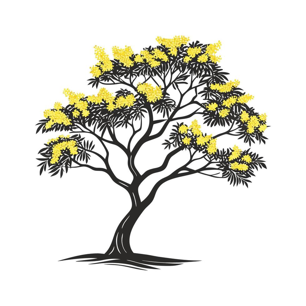Charming Golden Wattle Tree Outline for Illustrative Design vector