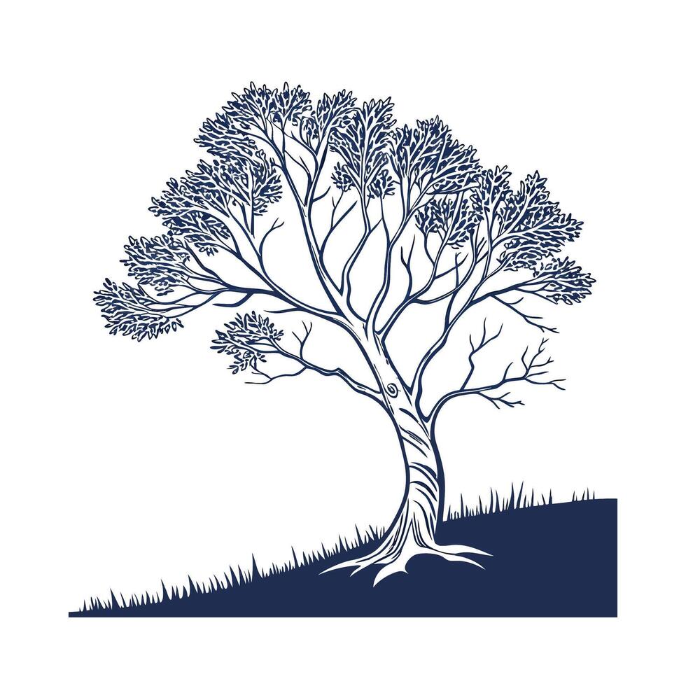 Himalayan Birch Tree Bold Outline Design for Art vector