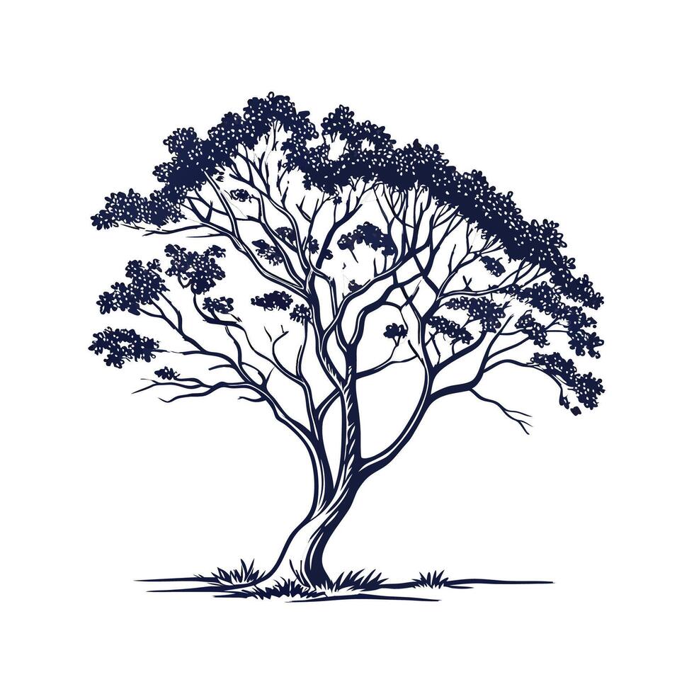 Stylish Indian Kino Tree Bold Outline Design vector
