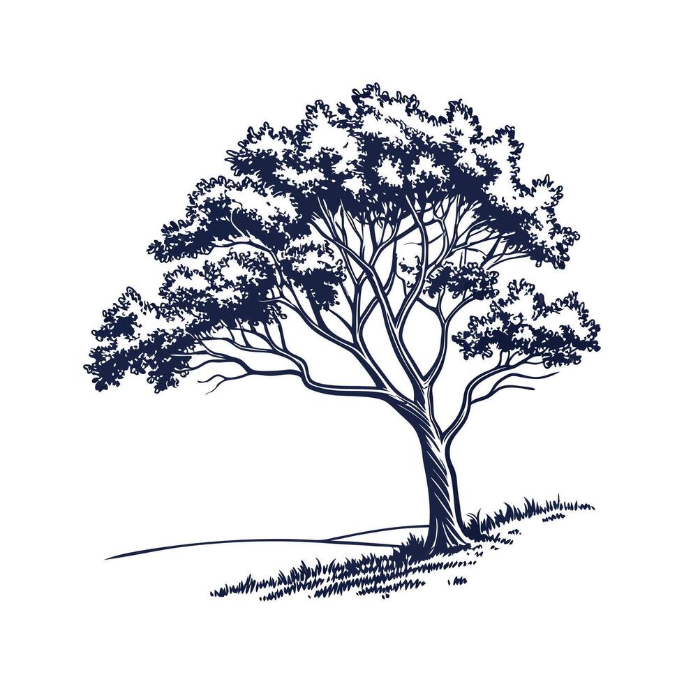 Indian Laurel Tree Bold Outline for Unique Decor vector