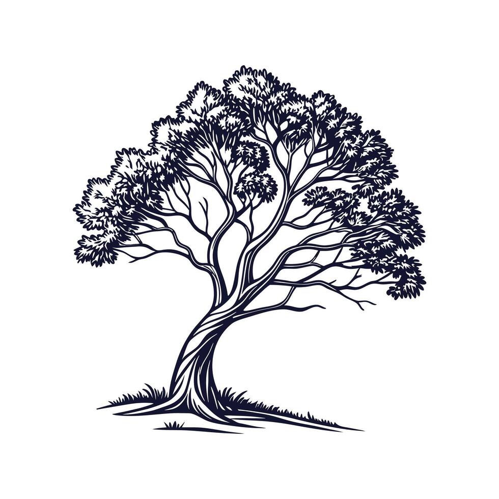 Stylish Indian Laurel Tree Bold Outline Design vector