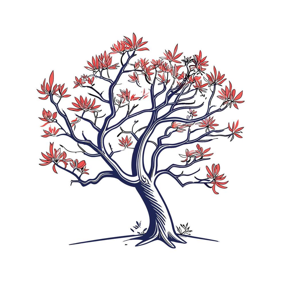 Charming Kaffirboom Coral Tree Outline for Design vector