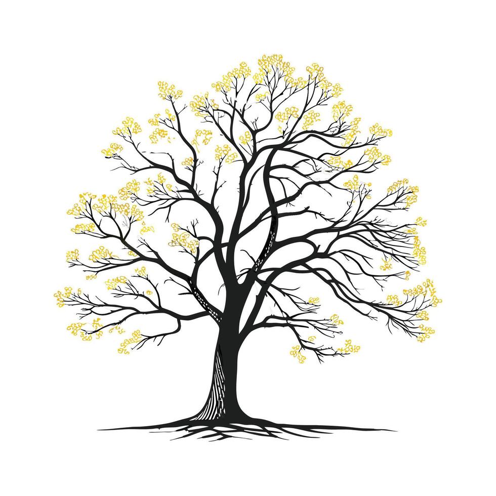 Kentucky Yellowwood Tree Bold Outline for Art vector