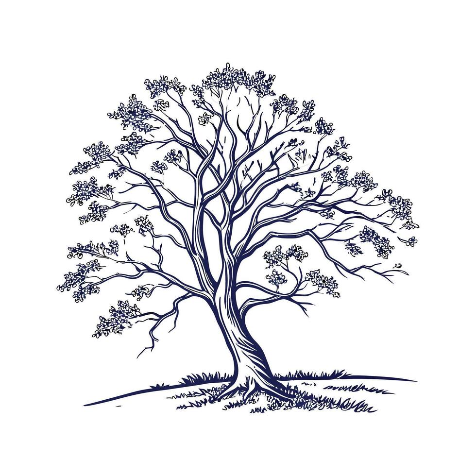 Charming Kentucky Yellowwood Tree Outline for Art vector