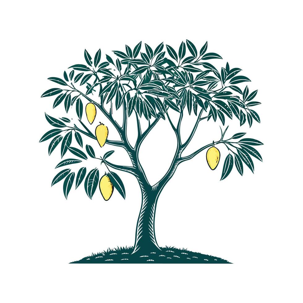 Charming Mango Tree Outline for Illustrative Use vector
