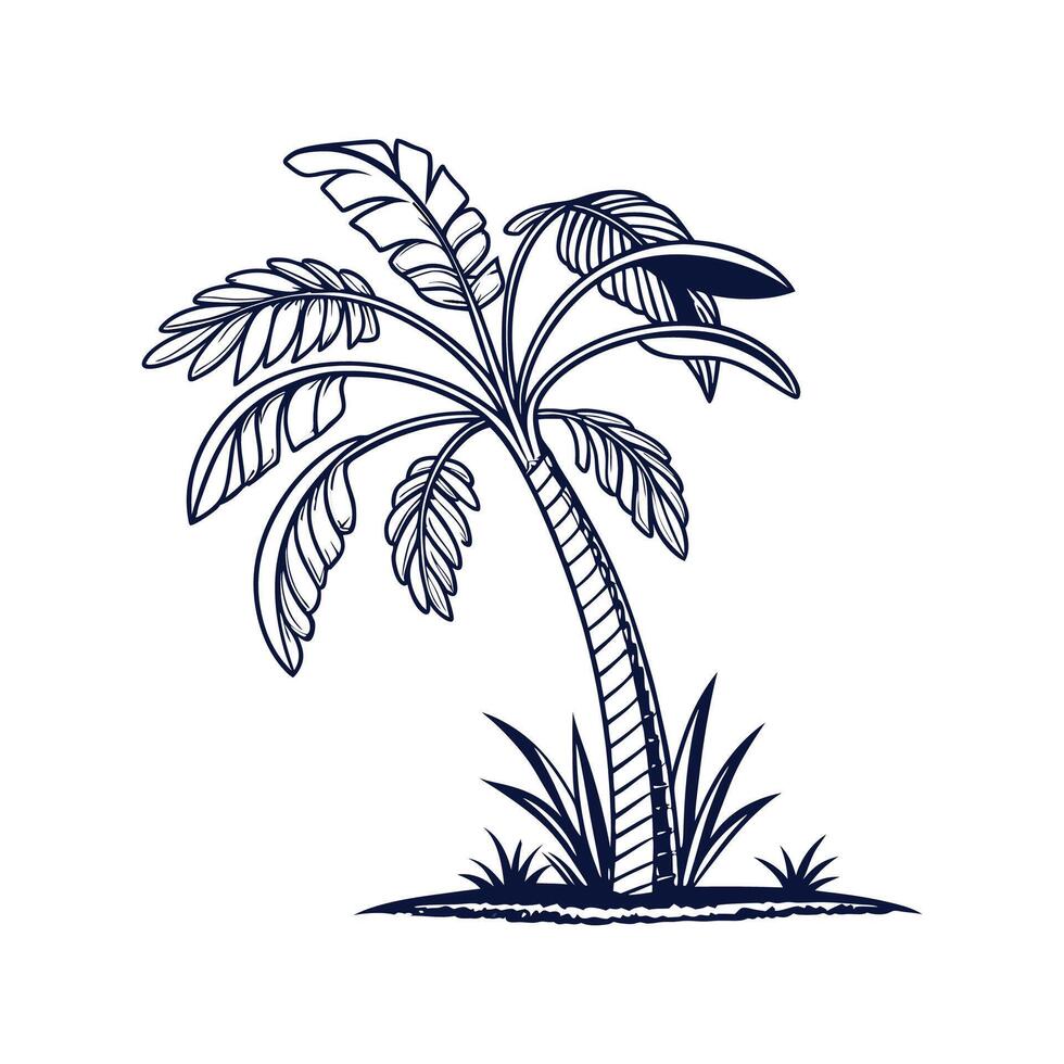 Stylish Mexican Fan Palm Tree Bold Outline Art vector