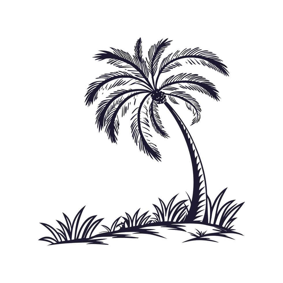 Charming Mexican Fan Palm Tree Outline for Design vector