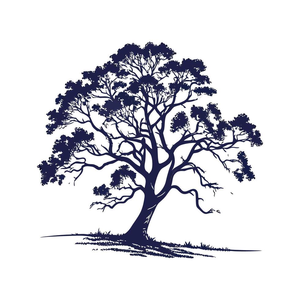 Stylish Mexican White Oak Tree Bold Outline Design vector